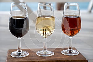 Tasting of Spanish sweet and dry fortified Vino de Jerez sherry wine photo