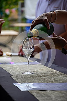 Tasting of sparkling white wine with bubbles champagne on summer festival route of champagne in Cote des Bar, Champagne region,