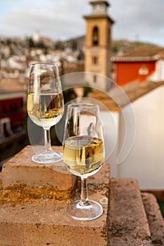 Tasting of sweet and dry fortified Vino de Jerez sherry wine with view on roofs and houses of old andalusian town photo