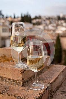 Tasting of sweet and dry fortified Vino de Jerez sherry wine with view on roofs and houses of old andalusian town photo