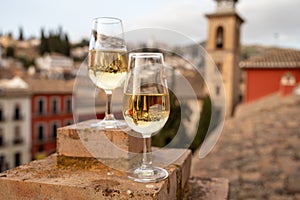 Tasting of sweet and dry fortified Vino de Jerez sherry wine with view on roofs and houses of old andalusian town photo