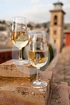 Tasting of sweet and dry fortified Vino de Jerez sherry wine with view on roofs and houses of old andalusian town photo