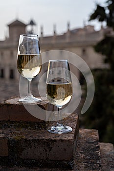 Tasting of sweet and dry fortified Vino de Jerez sherry wine with view on roofs and houses of old andalusian town photo