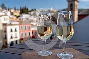 Tasting of sweet and dry fortified Vino de Jerez sherry wine with view on roofs and houses of old andalusian town photo