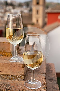 Tasting of sweet and dry fortified Vino de Jerez sherry wine with view on roofs and houses of old andalusian town photo