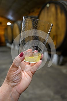 Tasting of traditional natural Asturian cider made fermented apples in barrels for several months should be poured from