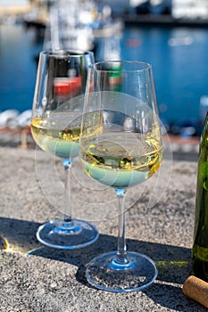 Tasting of txakoli or chacolÃ­ dry white wine produced in Spanish Basque Country with view on old port and