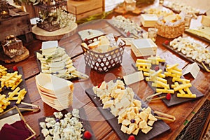 Tasting of various types of cheese during a cocktail