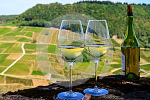 Tasting of white or jaune Jura wine on vineyards near Chateau-Chalon village in Jura region, France