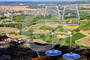 Tasting of white or jaune Jura wine on vineyards near Chateau-Chalon village in Jura region, France