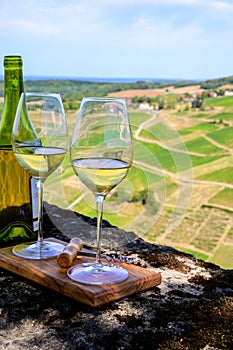 Tasting of white or jaune Jura wine on vineyards near Chateau-Chalon village in Jura region, France