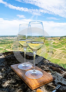 Tasting of white or jaune Jura wine on vineyards near Chateau-Chalon village in Jura region, France