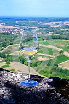 Tasting of white or jaune Jura wine on vineyards near Chateau-Chalon village in Jura region, France