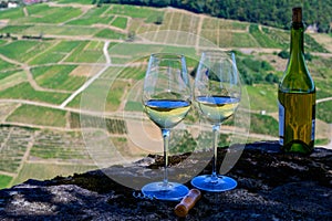 Tasting of white or jaune Jura wine on vineyards near Chateau-Chalon village in Jura region, France