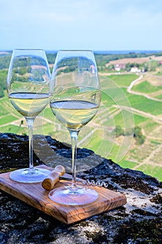 Tasting of white or jaune Jura wine on vineyards near Chateau-Chalon village in Jura region, France