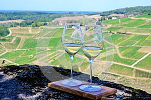 Tasting of white or jaune Jura wine on vineyards near Chateau-Chalon village in Jura region, France