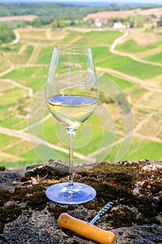 Tasting of white or jaune Jura wine on vineyards near Chateau-Chalon village in Jura region, France