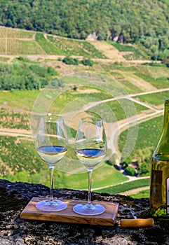 Tasting of white or jaune Jura wine on vineyards near Chateau-Chalon village in Jura region, France