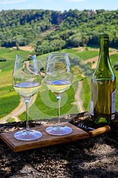 Tasting of white or jaune Jura wine on vineyards near Chateau-Chalon village in Jura region, France