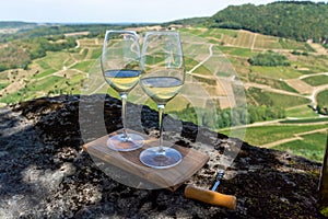 Tasting of white or jaune Jura wine on vineyards near Chateau-Chalon village in Jura region, France