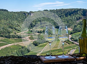 Tasting of white or jaune Jura wine on vineyards near Chateau-Chalon village in Jura region, France