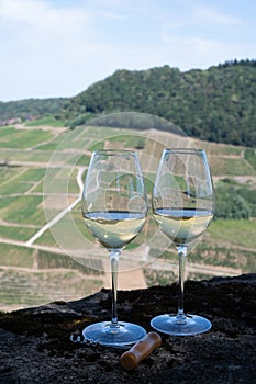 Tasting of white or jaune Jura wine on vineyards near Chateau-Chalon village in Jura region, France