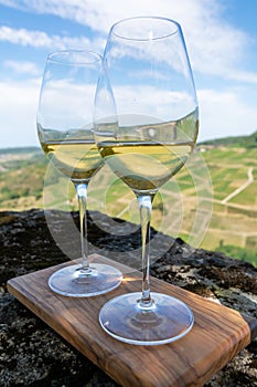 Tasting of white or jaune Jura wine on vineyards near Chateau-Chalon village in Jura region, France