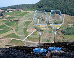 Tasting of white or jaune Jura wine on vineyards near Chateau-Chalon village in Jura region, France