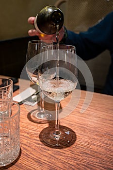 Tasting of white reserva rioja wines, visit of winery cellars, Rioja wine making region, Spain photo