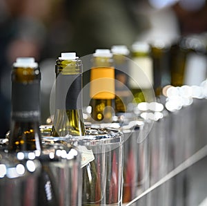 Tasting wine, Row of vintage wine bottles in a wine cellar