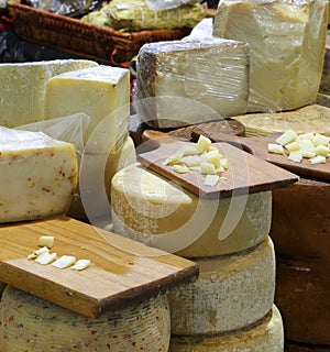 tastings of aged cheeses in the cutting boards of dairy products