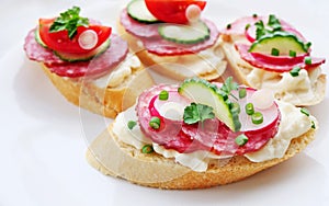 Tasty appetizers with cheese and salami over white