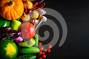 Tasty appetizing fresh autumn seasonal vegetables on dark wooden background top view with copy space. Healthy food, vegetarianism