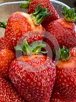 Tasty, beautiful, sweet strawberries