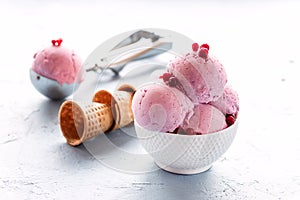 Tasty Berries Ice Cream in White Bowl Ice Cream Scoop Waffle Cone Summer Dessert Horizontal