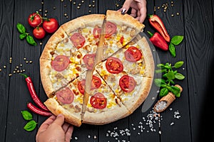 Tasty and big pizza with different types of meat