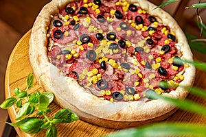 Tasty and big pizza with different types of meat. Pizza with sausage, ham, corn and olives