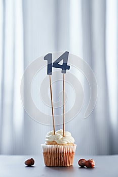 Tasty birthday cake with number 14 fourteen