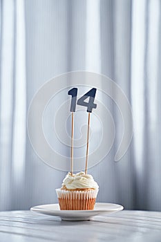 Tasty birthday cupcake with number 14 fourteen