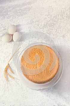 A tasty biskuit - cake layer