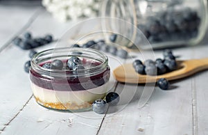 Tasty blueberry cheesecake with fresh sweet blueberries