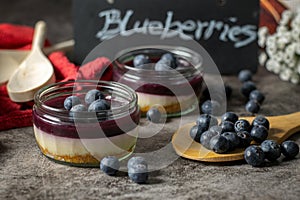 Tasty blueberry cheesecakes with fresh sweet blueberries
