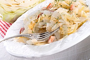 Tasty braised cabbage vegetables