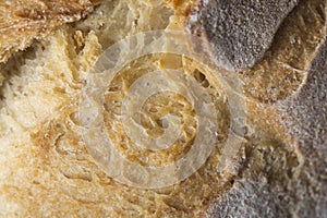 Tasty Brown bread macro still wheat texture detail