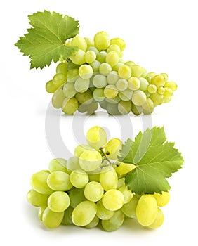 Tasty bunches of white grapes with leaf