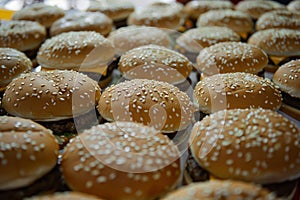 Tasty burger delicious fast food high quality food sandwich tomato cheese hamburger american lunch vegetable restaurant