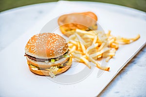 Tasty burger with french fries