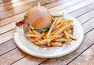 Tasty burger with fries