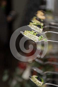 Tasty canapes plates in line hanging with caviar