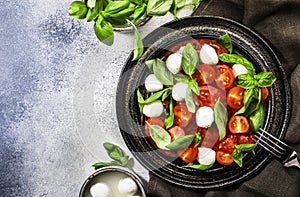 Tasty caprese salad with ripe red tomatoes and mozzarella cheese with fresh green basil leaves. Italian food. Top view